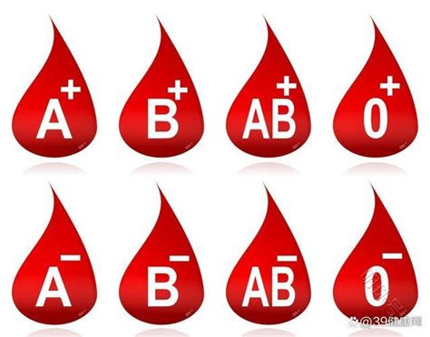 O型血真的是“万能血”？血型相同就可以直接输血？错！_家庭健康终端_京智康,健康社区,我淘健康,健康城市