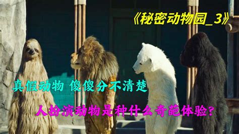 秘密动物园：动物园经营不善，导致动物都成精了_电影_高清1080P在线观看平台_腾讯视频