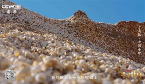 震撼！古人吃剩的螺蛳壳堆成一座山|云南省_新浪新闻