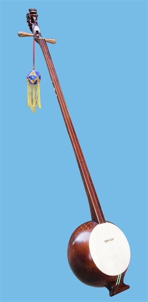 赦天琴箕图片