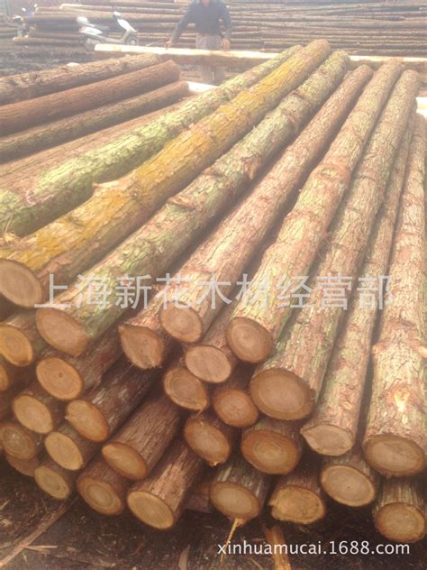 一手货源直供各种规格杉木桩 1-8米杉木 杉木圆木桩 杉木桩价格-阿里巴巴