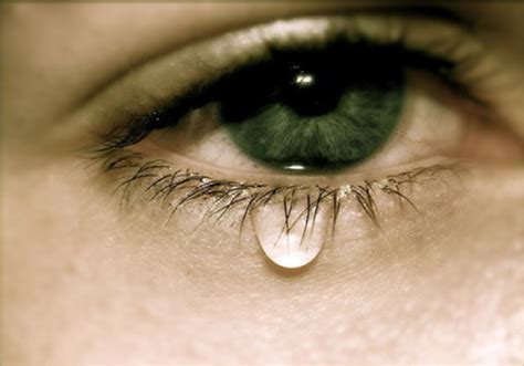 眼泪效果，通过PS给人物绘制逼真的眼泪 - 效果教程 - PS教程自学网