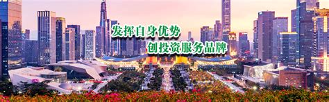 深圳市国际投资促进中心有限公司
