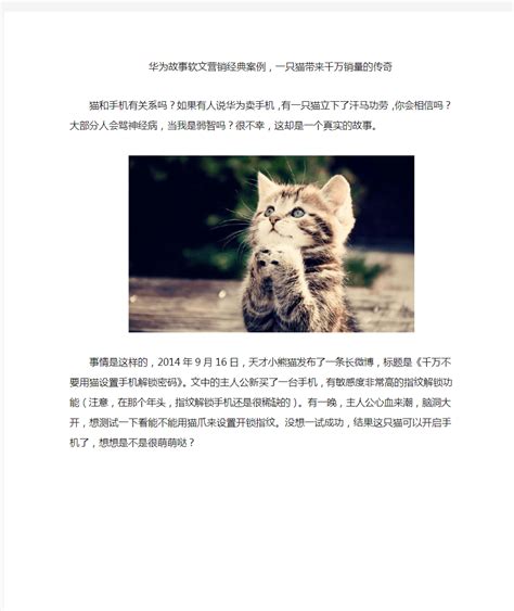 华为故事软文营销经典案例,一只猫带来千万销量的传奇_文档之家