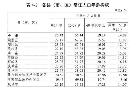 河南省商丘梁园区人口具体情况数据分析报告2019版_文档之家
