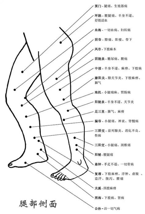 臀部穴位图图片