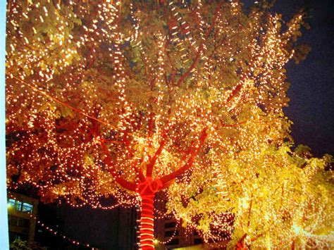 圣诞树装饰与场景亮化布置用的LED灯串