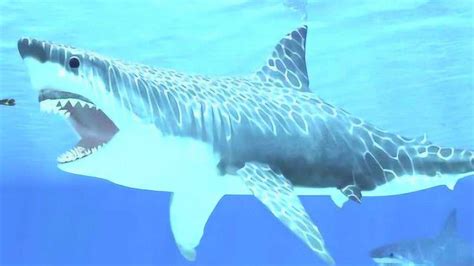 饥饿鲨世界：钢铁巨齿鲨VS邓氏鱼VS滑齿龙，究竟谁能扛到最后