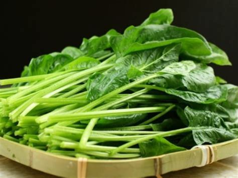 蔬菜中的「抗癌之王」，这样吃对身体有害|抗癌|甲状腺肿_新浪新闻