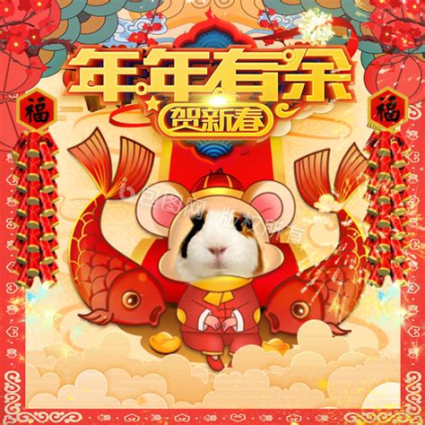 鼠年年有余老鼠拜年中国风表情包gif动图下载-包图网
