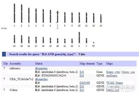滇龙胆 GrGPPS 基因的克隆及其序列分析与原核表达
