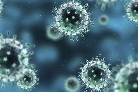 世界上最恐怖的十种病毒，埃博拉病毒居榜首(3)_巴拉排行榜