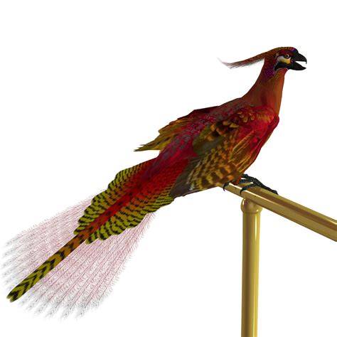 科学网—《山海经》中的古鸟类“凤凰”是锦鸡 - 王家冰的博文