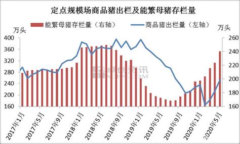 生猪出栏量或达7亿多头，进口量240万吨！下半年猪价还能继续涨吗？ - 猪好多网