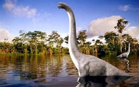 人类发现的最大的恐龙有多大？ - 知乎