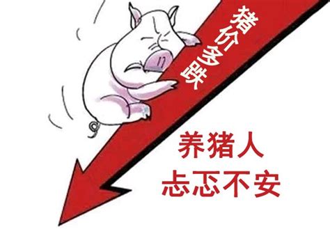 猪肉第二轮收储开启，养猪股是否值得买入？（7.10）_财富号_东方财富网
