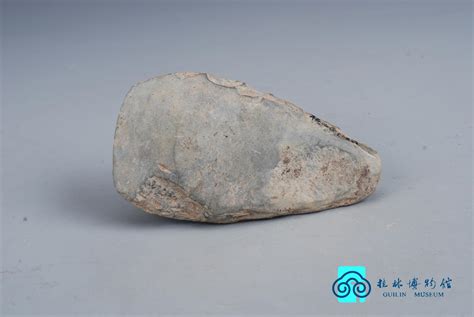 中国古生物化石保护基金会