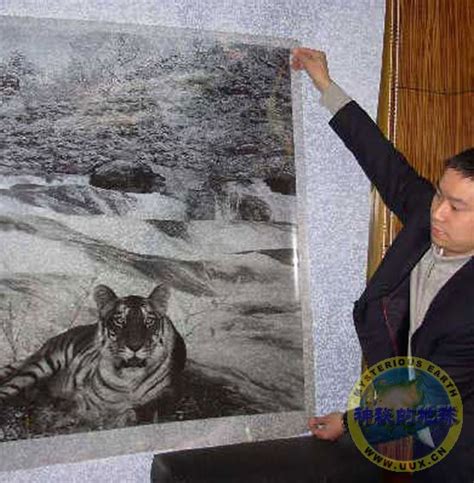 陕西省林业厅展示71张周正龙拍摄的华南虎原始照片 - 神秘的地球 科学|自然|地理|探索
