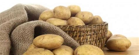 地球人都爱的美食，土豆如何改写世界历史？