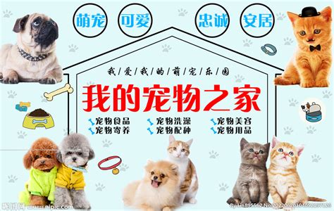 杭州开宠物店要多少成本 杭州宠物店有多少家 - 三伊五百科