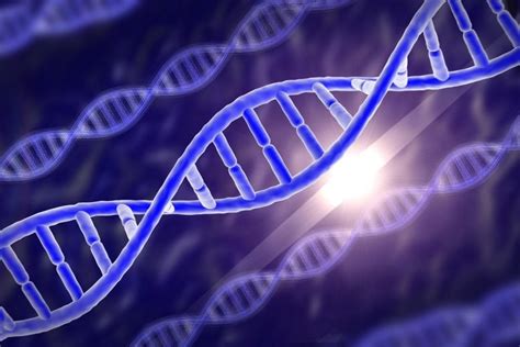 为什么科学家把“超级基因编辑鼠”送上太空？|胚胎|科学家|宇航员_新浪新闻