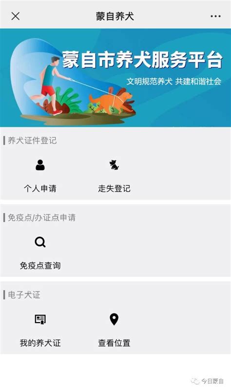蒙自“铲屎官”看过来！微信也能办“犬证”啦！_澎湃号·媒体_澎湃新闻-The Paper