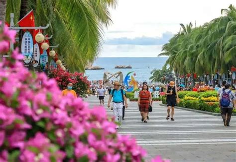 三亚旅游市场回暖明显 元旦期间全市旅游饭店入住率近80%