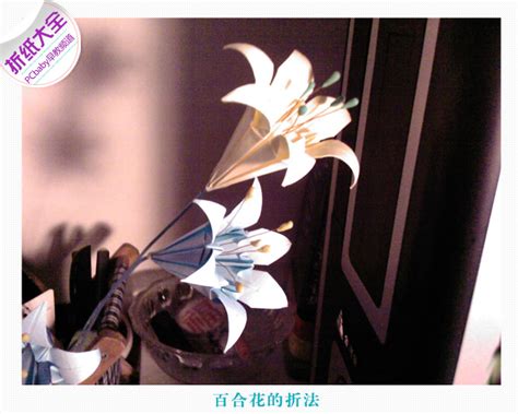 【大图】百合花的折法_折纸_太平洋亲子网
