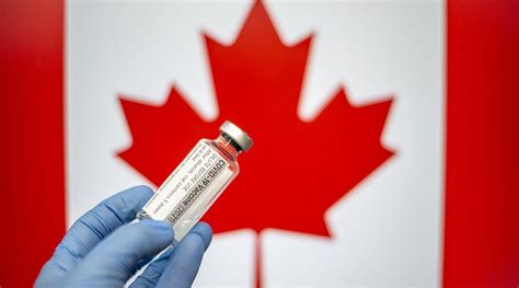 美国“全球抗疫第一”？疫苗接种率被加拿大全面反超，却在销毁大批未用疫苗|美国|疫苗|加拿大_新浪新闻