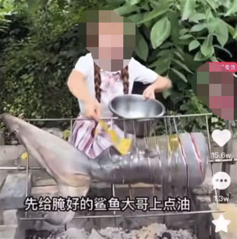 “噬人鲨”吃播引众怒，究竟哪些鲨鱼能被人工养殖？