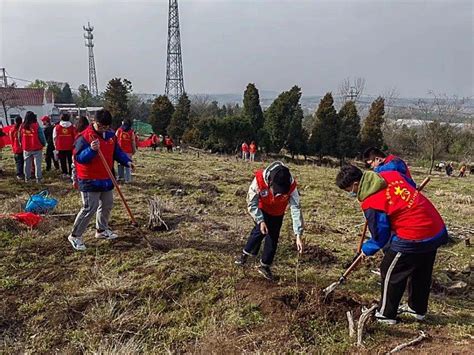 来安三中组织开展“贡献力量、奉献绿色”植树节活动凤凰网安徽_凤凰网
