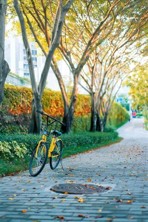 丽水天气预报一周天气