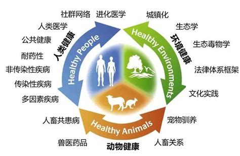 “同一健康”理念下的价值重塑与规划应对_资讯频道_中国城市规划网