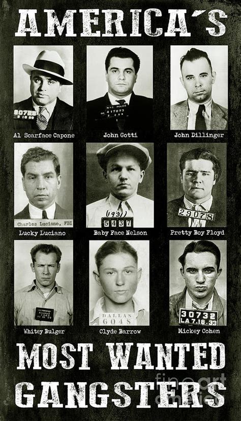 A Brief History of Gangsters by Brian Robb - Books - Hachette Australia