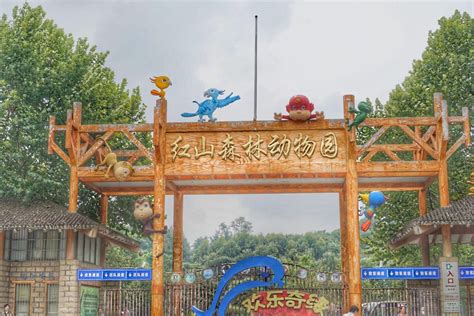 科学网—南京红山森林动物园 - 刘桂锋的博文