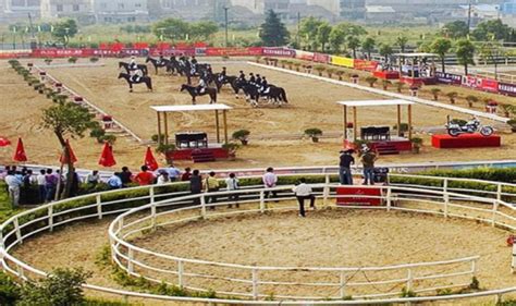 北京马术|骑马|马术培训|儿童骑马俱乐部|马场|儿童马术-中联骑士联盟