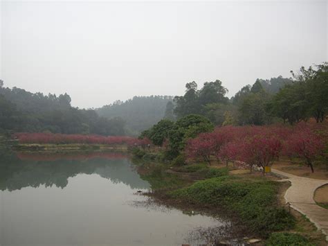 一条凤城河，千年水中城_泰州_历史_桃园