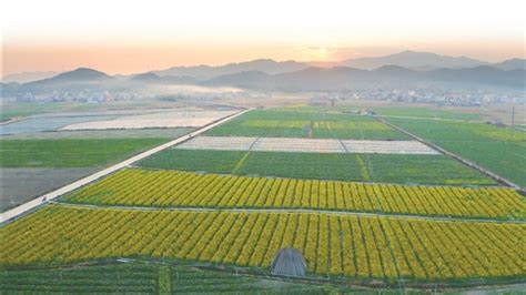 广西贺州：采收蔬菜-人民图片网