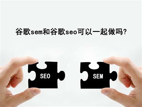 谷歌sem和seo可以一起做吗？ - 黑蝠网络-外贸行业整合营销解决方案服务商