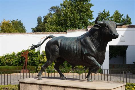 西班牙斗牛的规则是什么 - 业百科