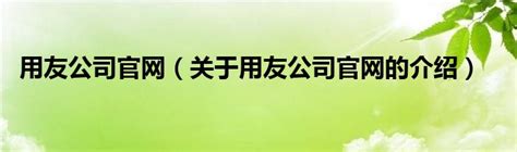 公司简介_陕西千远信电子科技有限公司/陕西用友财务软件/用友技术服务用友软件销售/西安用友客服/西安用友销售/