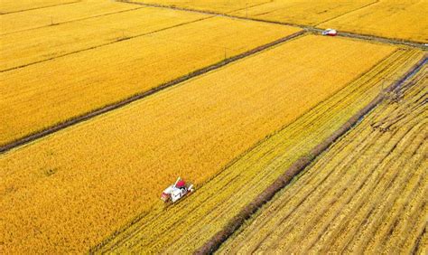 河南省秋季作物收获已近9成 各地秋播小麦陆续展开-大河新闻