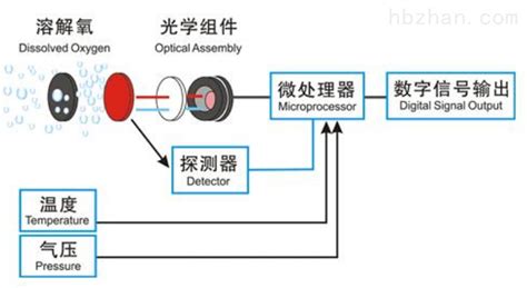 台式溶解氧仪 型号:CN61M-MP516图片_高清图_细节图-北京海富达科技有限公司-维库仪器仪表网