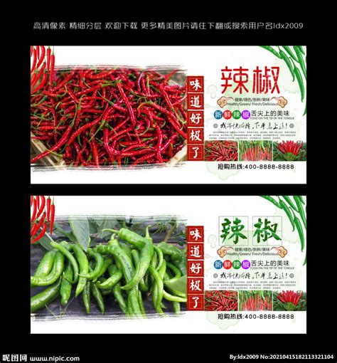 干辣椒 - 青岛升通源国际物流有限公司