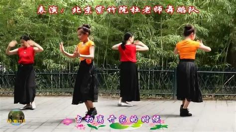 紫竹院广场舞《红枣树》，正背面演示_腾讯视频