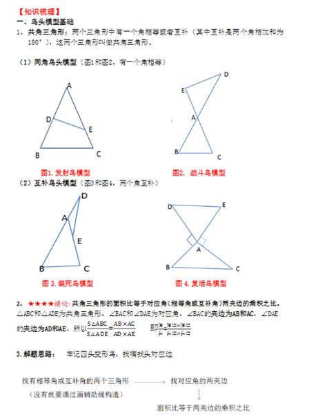 小学五年级奥数鸟头模型知识点讲解_几何的五大模型_奥数网
