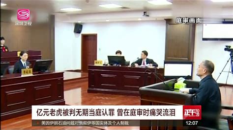 亿元老虎被判无期当庭认罪 曾在庭审时痛哭流泪_腾讯视频