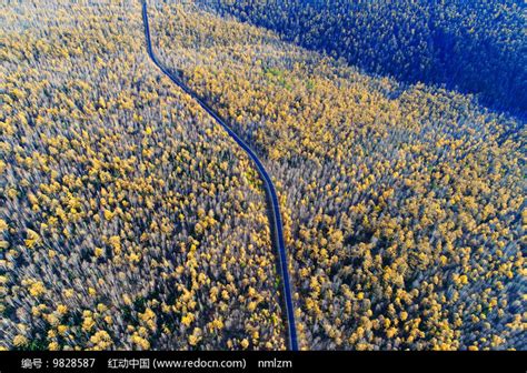 秋季林海公路风景（航拍）高清图片下载_红动中国