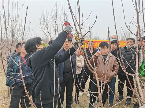 吉林省果树体系团队