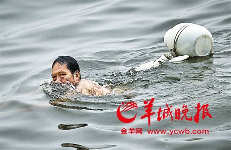 广州多个水域无人管 野泳者屡屡以身犯险_新浪新闻